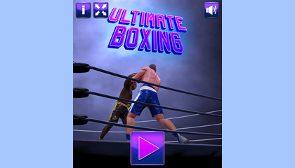 Ultimate Boxing Game.